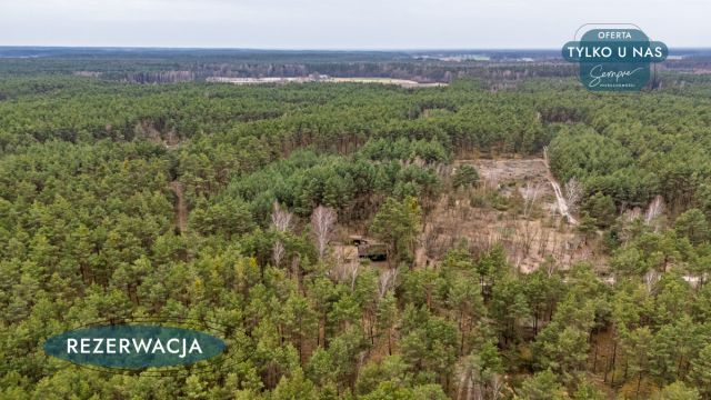 Działka leśna Kije. Zdjęcie 28