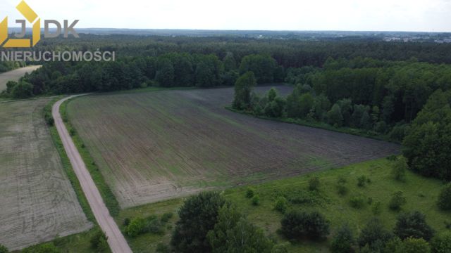 Działka rolna Marysin. Zdjęcie 3