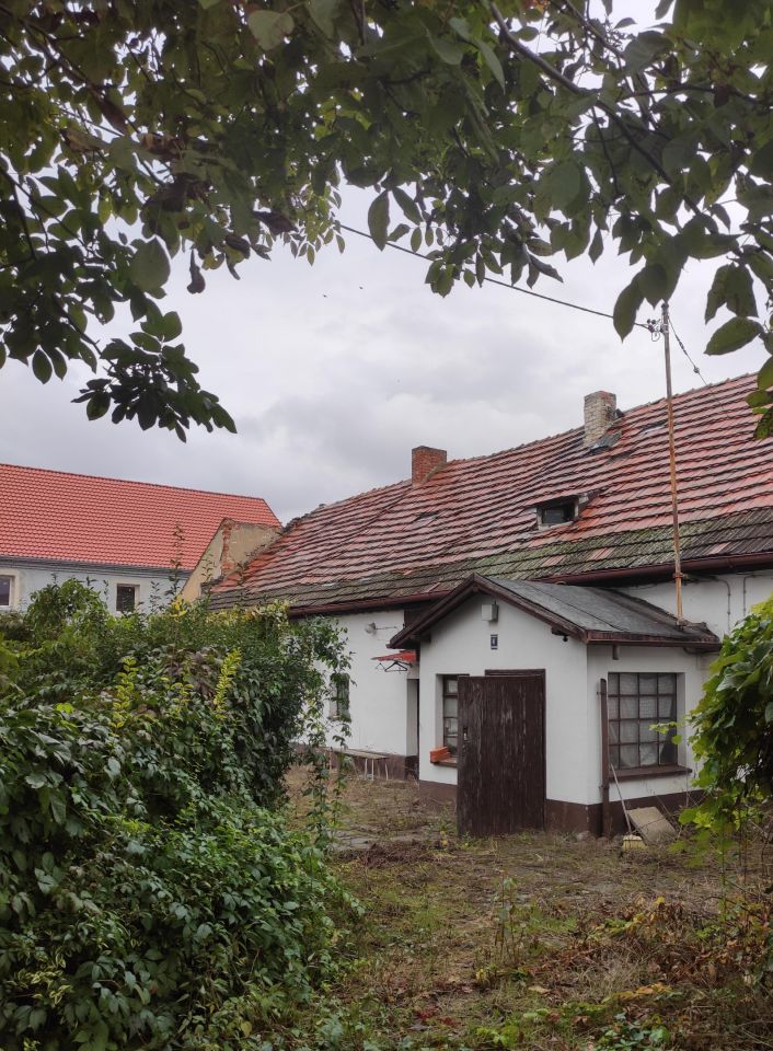 dom wolnostojący, 4 pokoje Pietrzykowice, ul. Ogrodowa. Zdjęcie 4