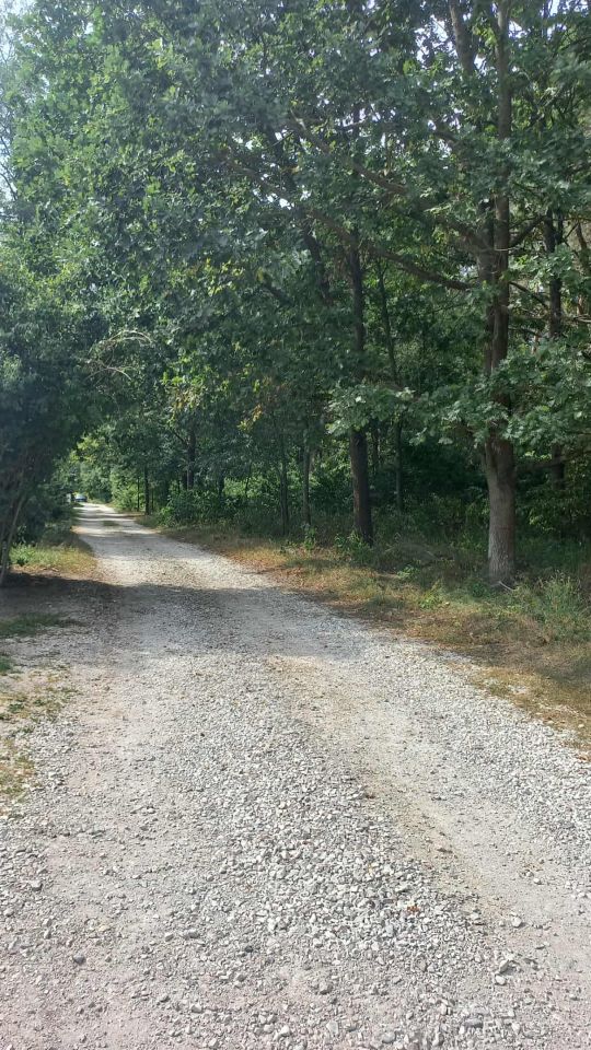 Działka budowlana Leszno, ul. Sochaczewska. Zdjęcie 9