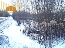 Działka budowlana Mrozy. Zdjęcie 4