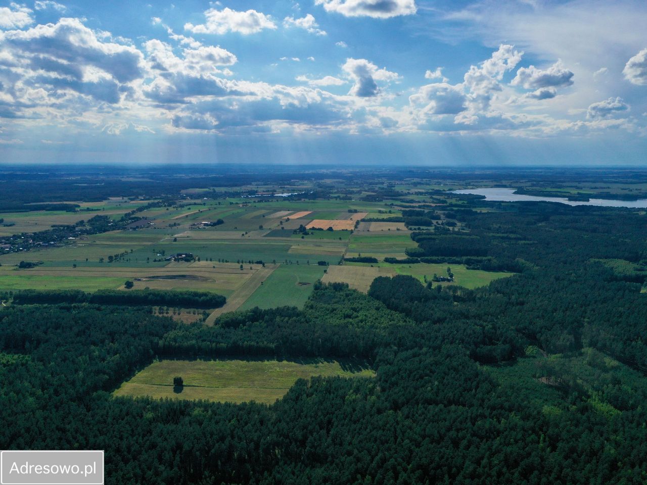 Działka rolna Jeleniowo. Zdjęcie 7