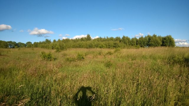 Działka budowlana Pluski, ul. Polna. Zdjęcie 4