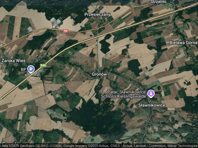Działka rolno-budowlana Gronów. Zdjęcie 1