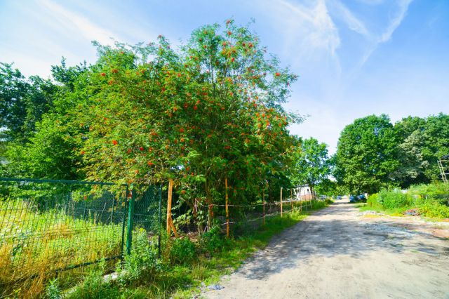 Działka rolna Warszawa Rembertów, ul. Szeroka. Zdjęcie 11