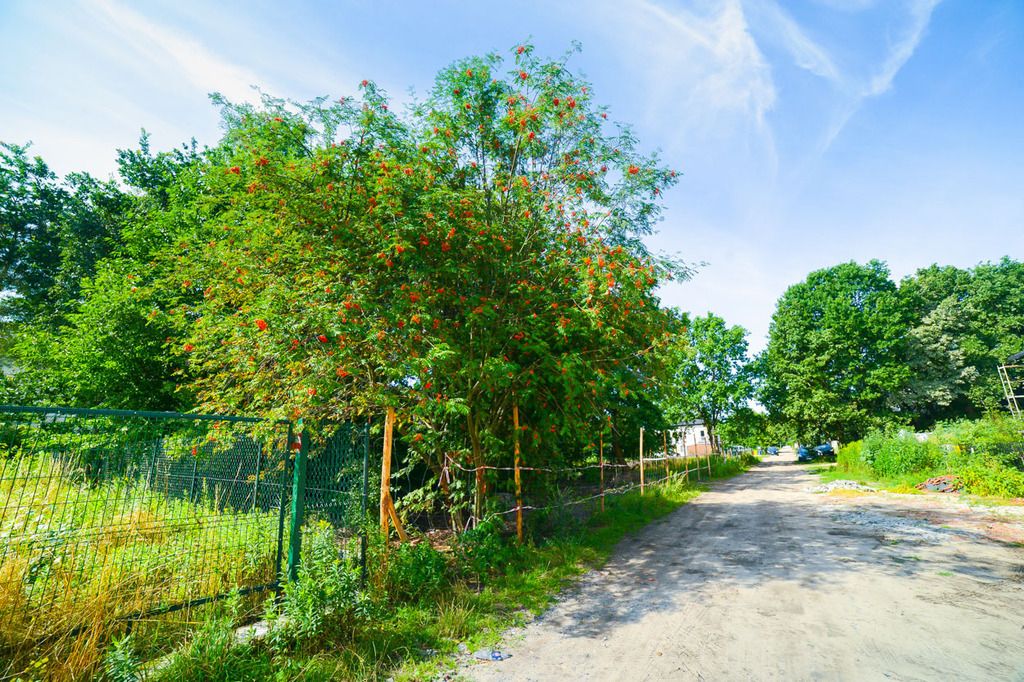 Działka rolna Warszawa Rembertów, ul. Szeroka. Zdjęcie 11