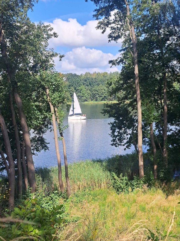 Działka siedliskowa Siemczyno. Zdjęcie 6