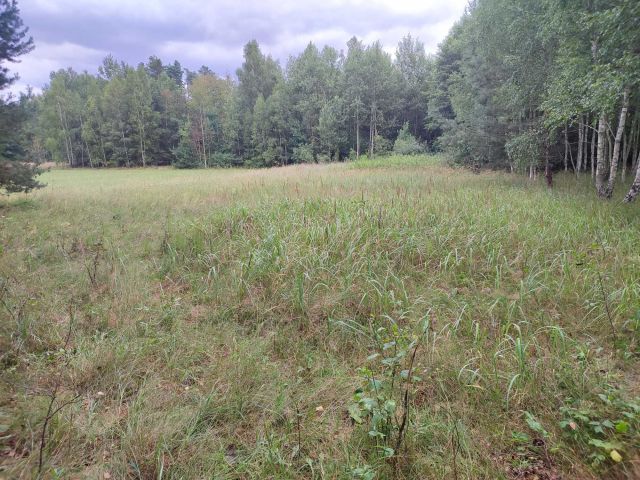 Działka rekreacyjna Mniszek Podbór. Zdjęcie 1