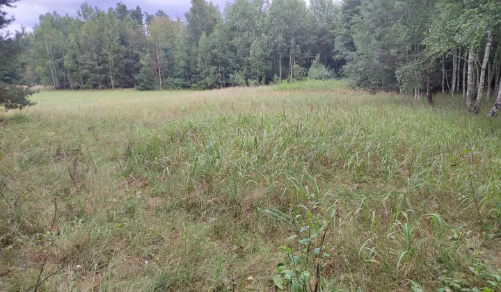 Działka rekreacyjna Mniszek Podbór