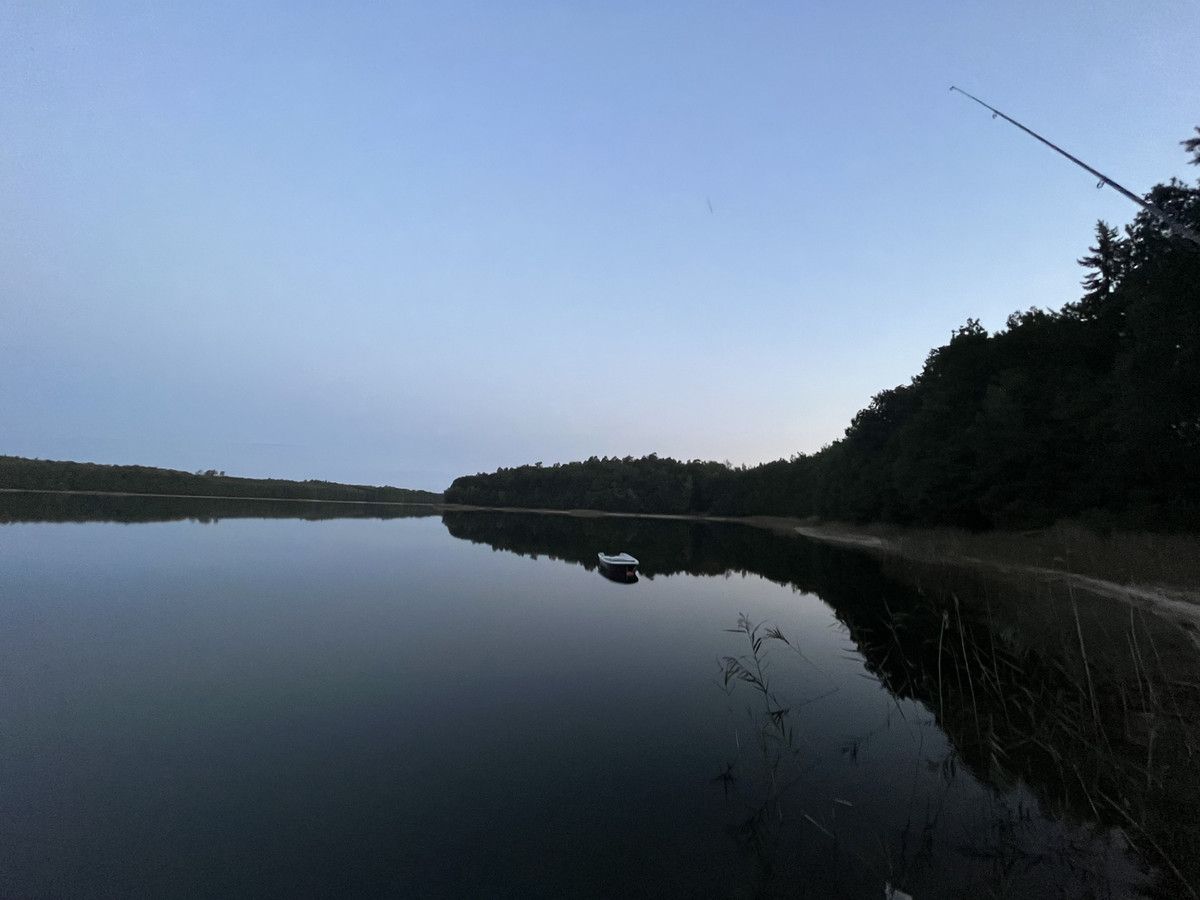 Działka budowlana Pławno. Zdjęcie 8