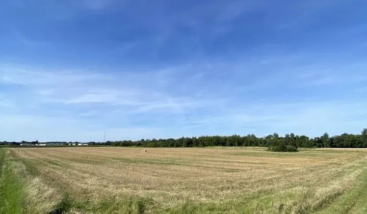 Działka inwestycyjna Orneta, ul. Olsztyńska