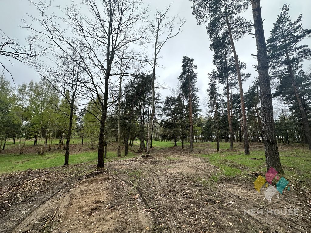 Działka budowlana Tałty. Zdjęcie 13