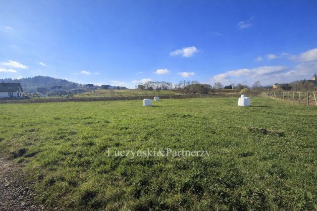 Działka inwestycyjna Krzeszów. Zdjęcie 1