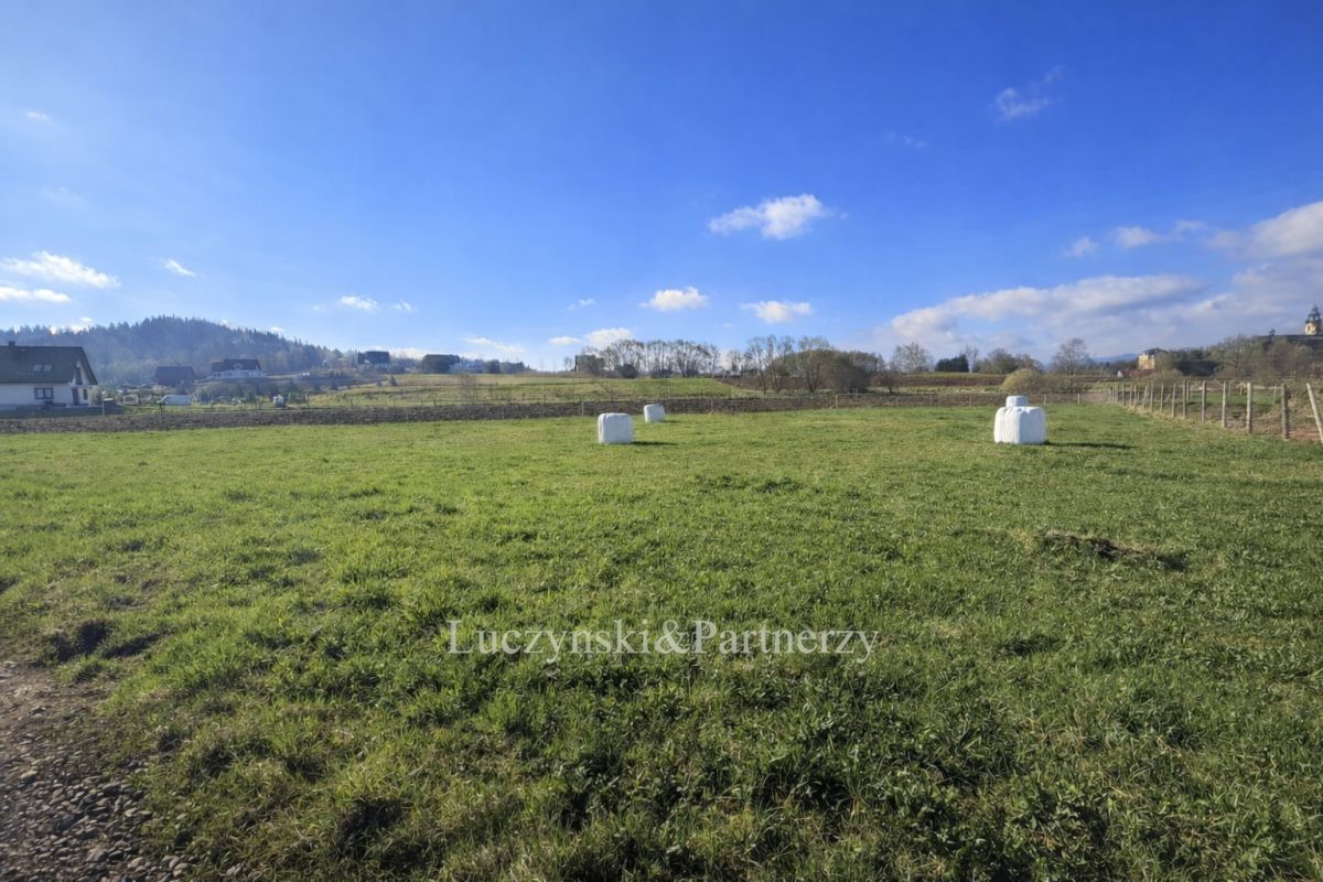 Działka inwestycyjna Krzeszów. Zdjęcie 1