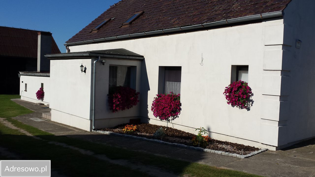 dom wolnostojący, 5 pokoi Borkowice. Zdjęcie 14