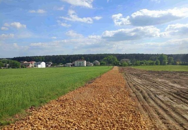 Działka budowlana Mierzęcice Niwiska, ul. Szkolna. Zdjęcie 2