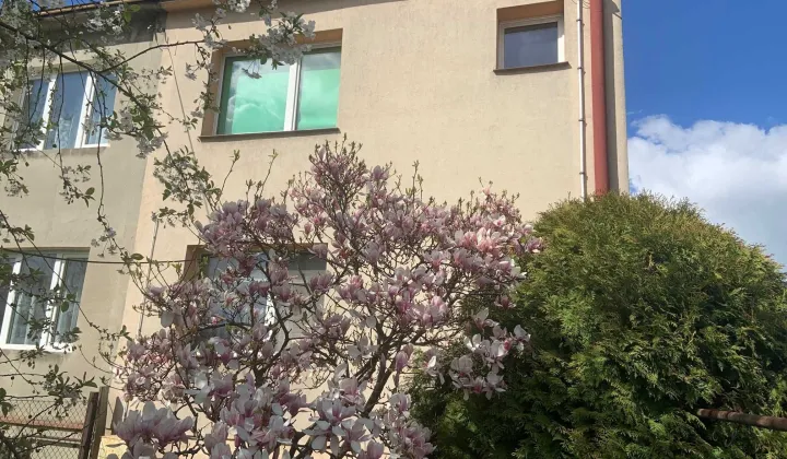 bliźniak Pabianice, ul. Rzgowska