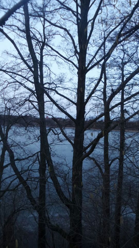 Działka budowlana Cekcyn, ul. Cicha. Zdjęcie 9