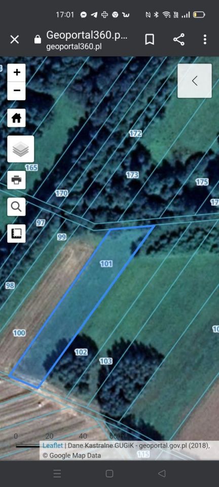 Działka rolna Wólka-Przekory. Zdjęcie 5