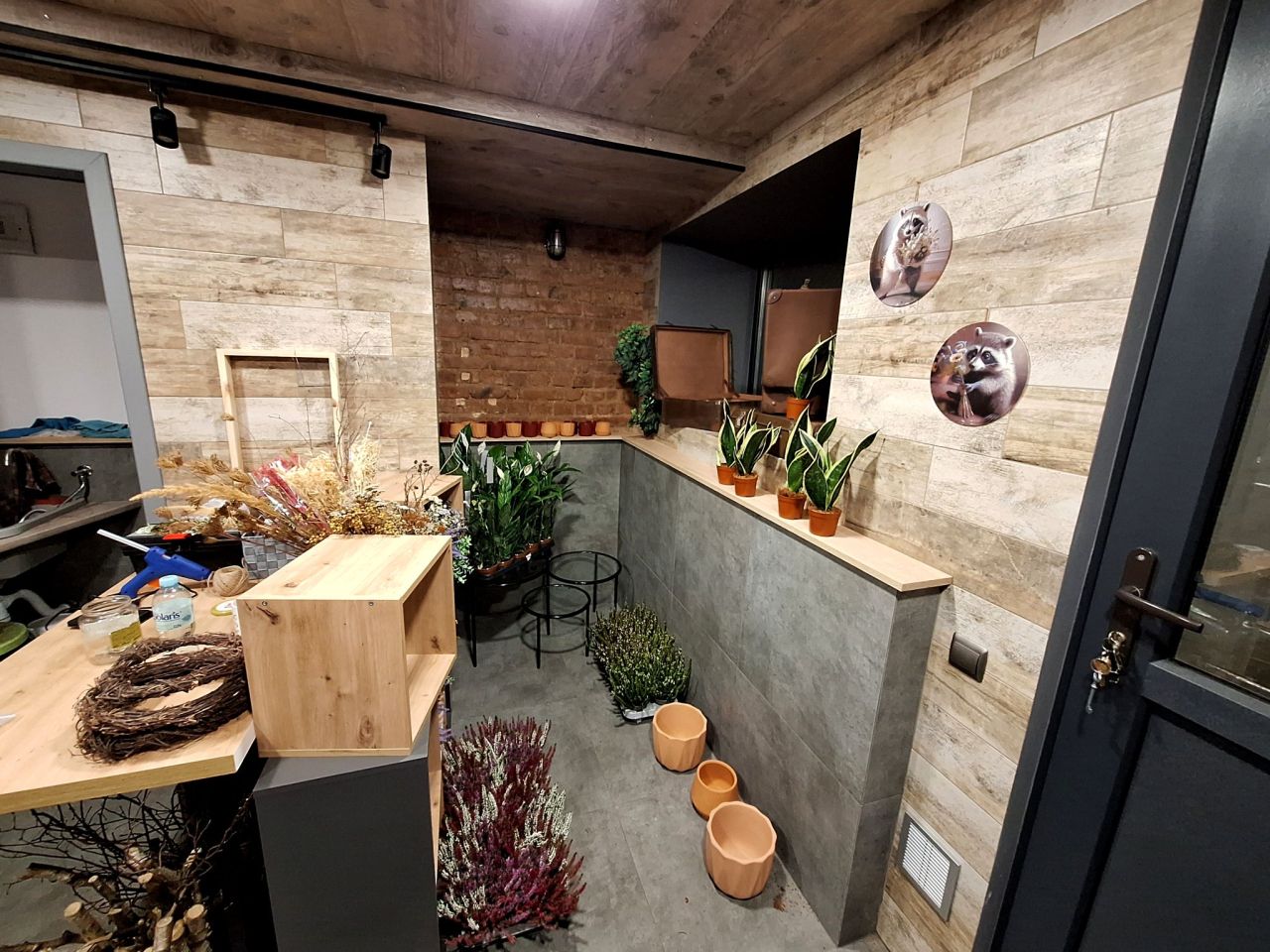 Lokal Wałbrzych Nowe Miasto, ul. marsz. Józefa Piłsudskiego. Zdjęcie 4