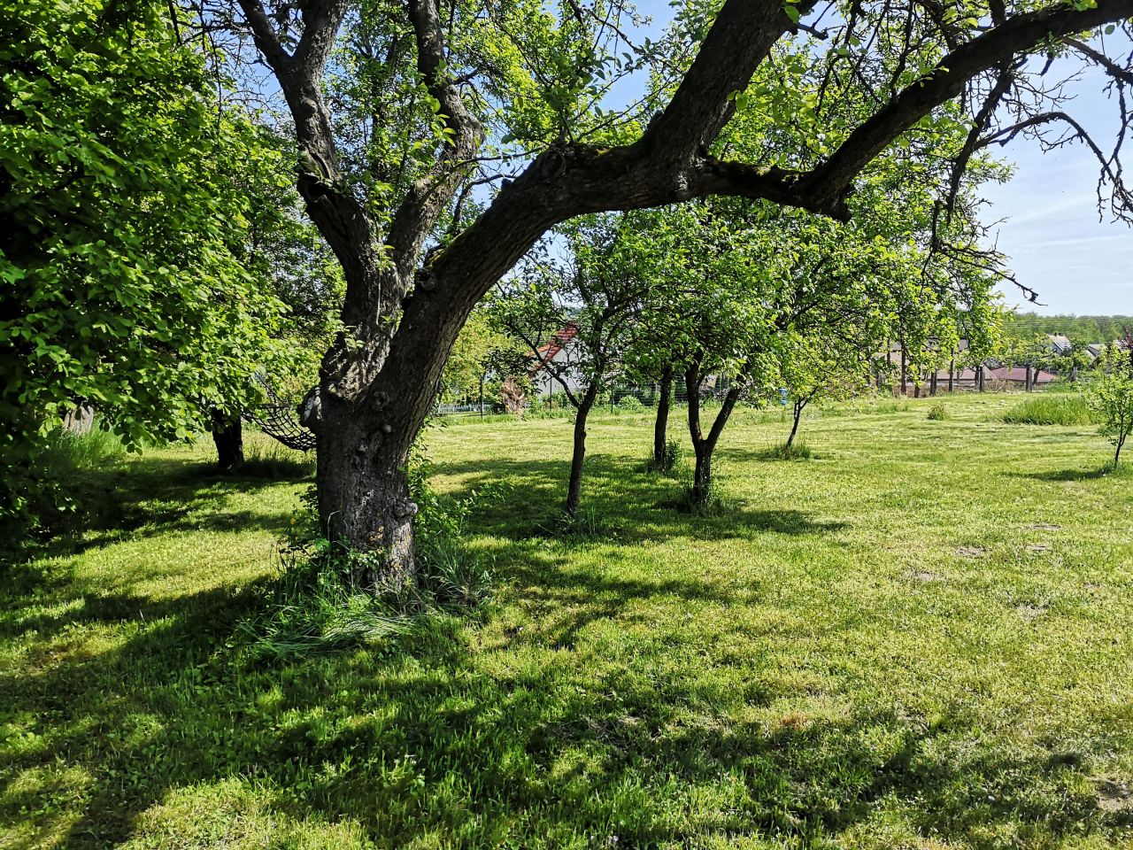 Działka rolna Banie. Zdjęcie 6