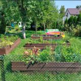 Działka rod Szczecin Krzekowo, ul. Żniwna. Zdjęcie 1