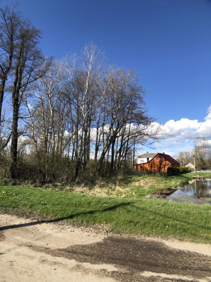 Działka budowlana Złotki Złotki-Przeczki. Zdjęcie 2