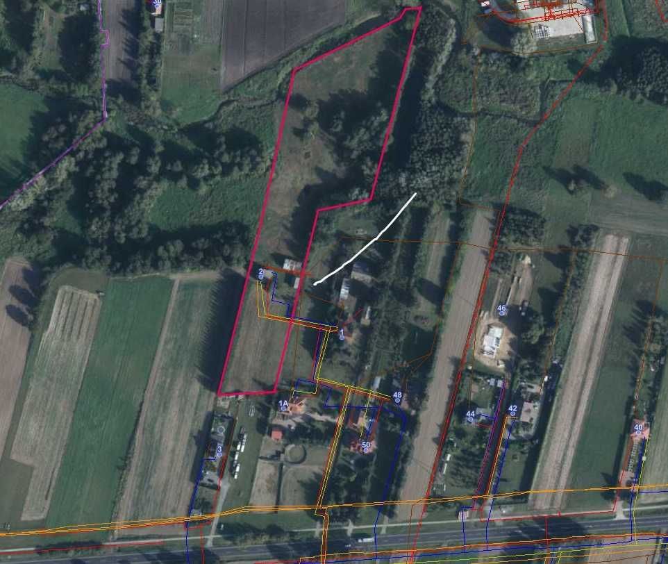 siedlisko Turowola. Zdjęcie 3