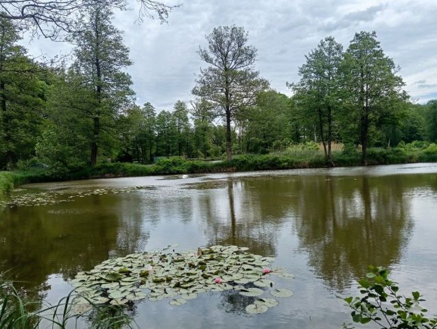 dom wolnostojący, 4 pokoje Rokitnica. Zdjęcie 16