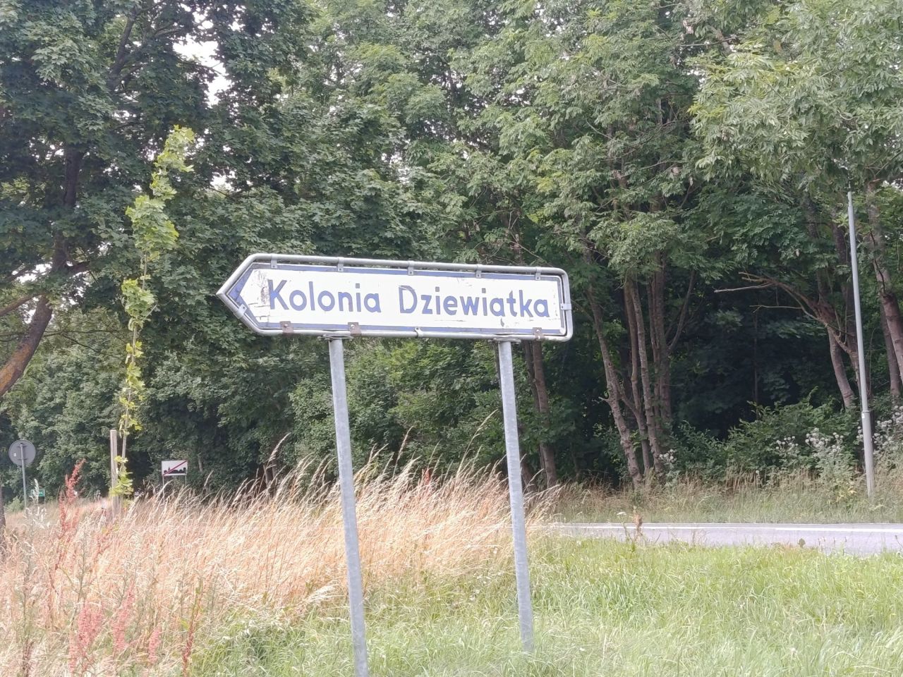 Działka rolno-budowlana Brojce. Zdjęcie 5