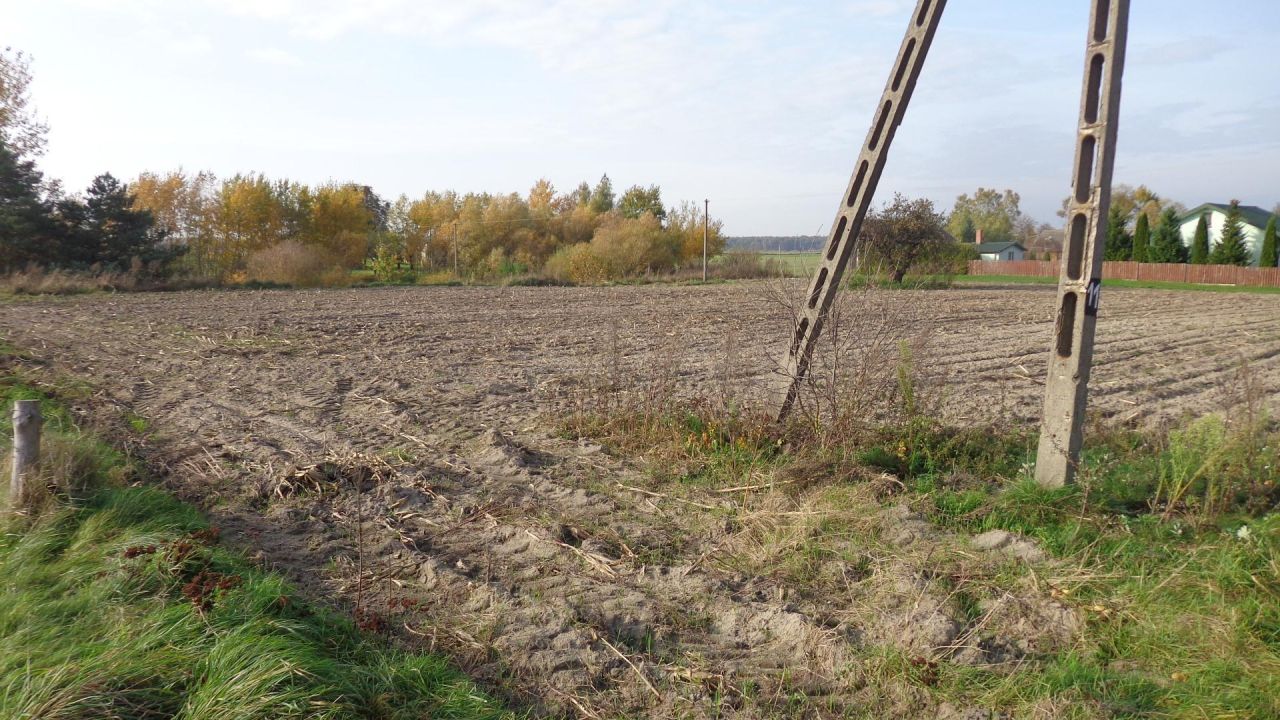 Działka rolna Teremiec. Zdjęcie 5