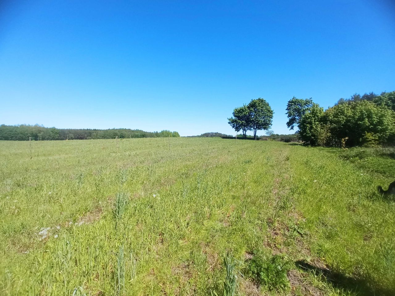 Działka budowlana Samagowo Kąpity. Zdjęcie 7