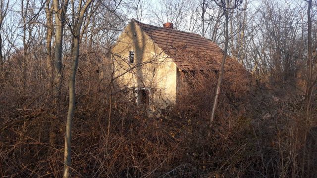 Działka rolno-budowlana Dobroszów. Zdjęcie 1