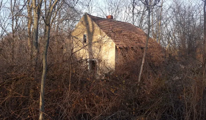 Działka rolno-budowlana Dobroszów