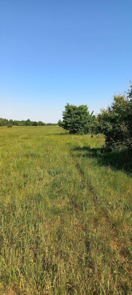 Działka rolno-budowlana Wincentów. Zdjęcie 4