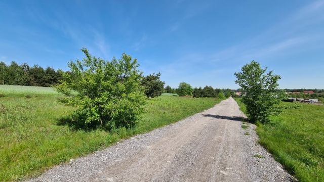 Działka rolno-budowlana Kuczów, ul. Polna. Zdjęcie 1