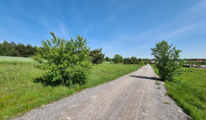 Działka rolno-budowlana Kuczów, ul. Polna