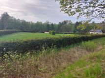 Działka rolna Gostyniec. Zdjęcie 1