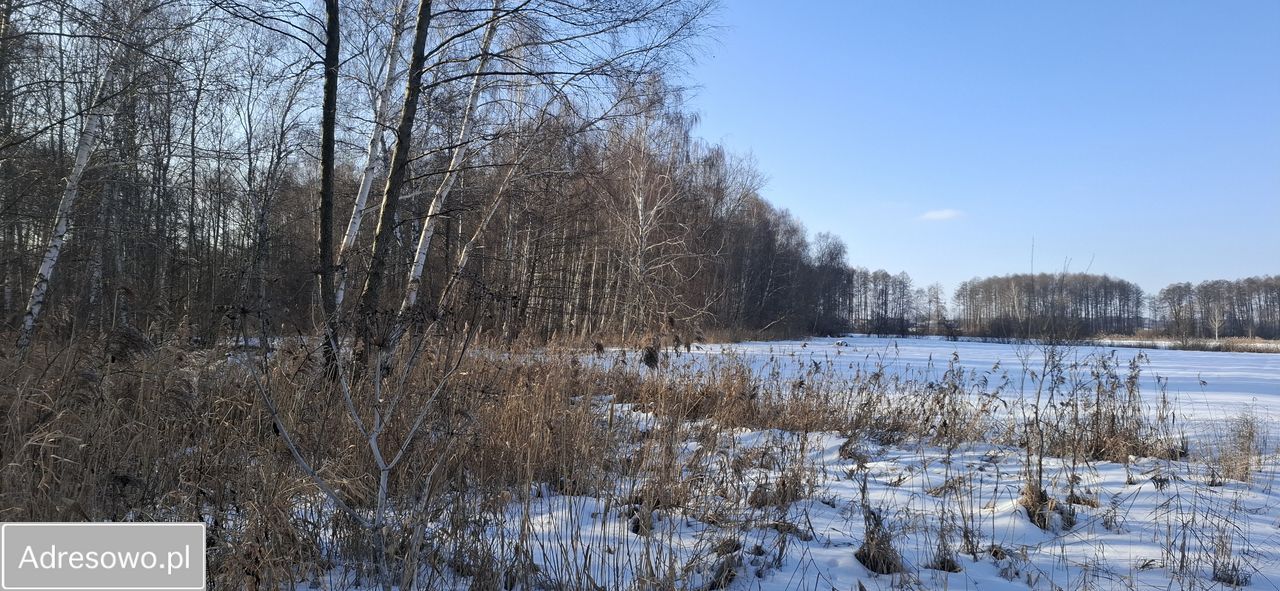 Działka rolna Dobrut. Zdjęcie 4