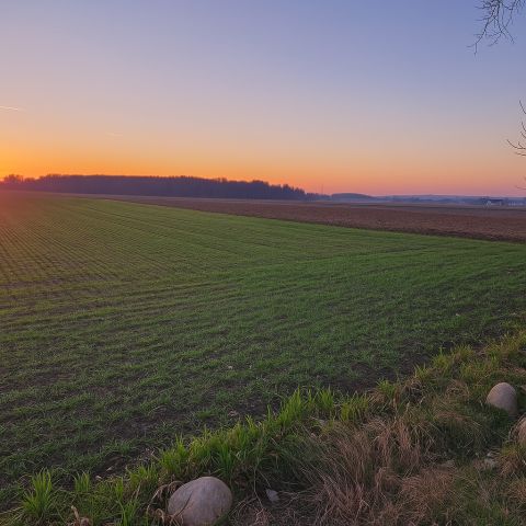 Działka budowlana Gorzyce Wielkie, ul. Topolowa. Zdjęcie 1