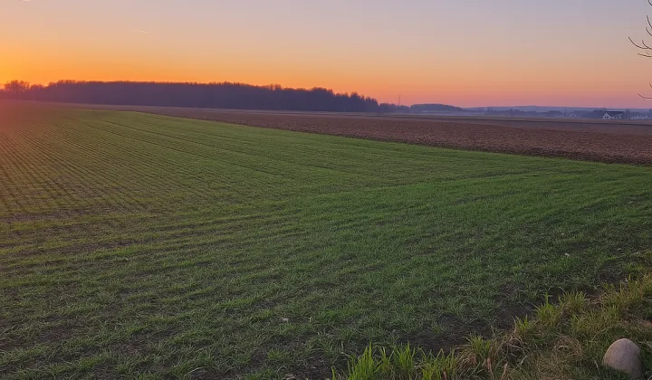 Działka budowlana Gorzyce Wielkie, ul. Topolowa