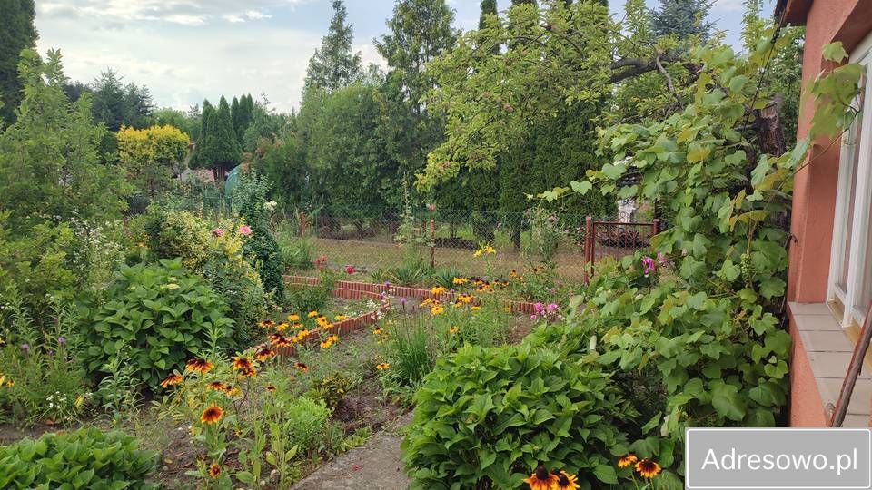 Działka rod Rumin. Zdjęcie 4