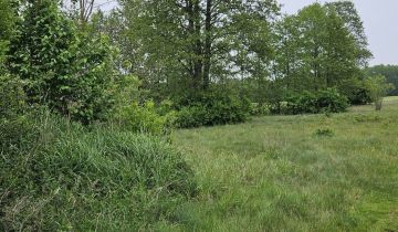 Działka rolna Kowalewice