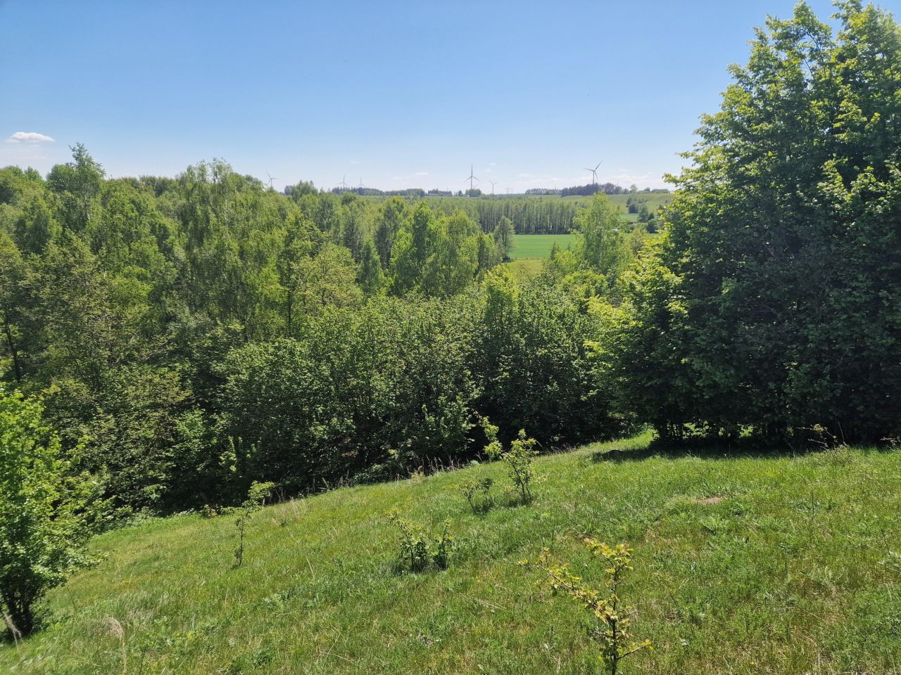 Działka inwestycyjna Malesowizna. Zdjęcie 7