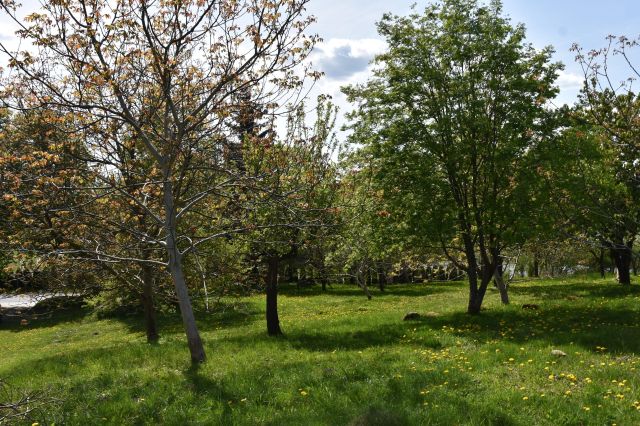 dom wolnostojący, 5 pokoi Ścienne. Zdjęcie 42