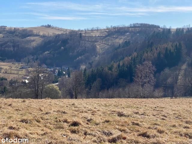 Działka rolna Walim, ul. Adama Mickiewicza. Zdjęcie 11