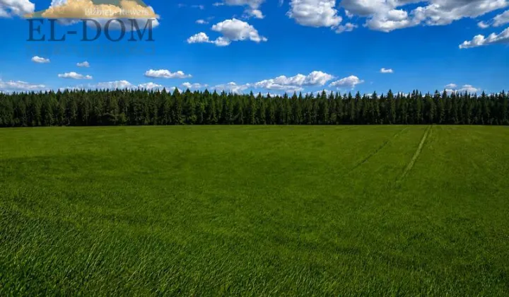 Działka budowlana Czeczewo, ul. Złota Góra