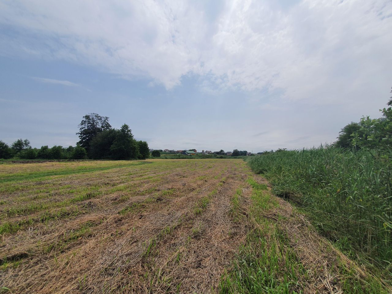 Działka rolna Głęboka. Zdjęcie 13