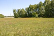 Działka budowlana Hipolitów. Zdjęcie 1