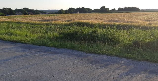 Działka budowlana Lubycza Królewska, ul. Szkolna. Zdjęcie 1